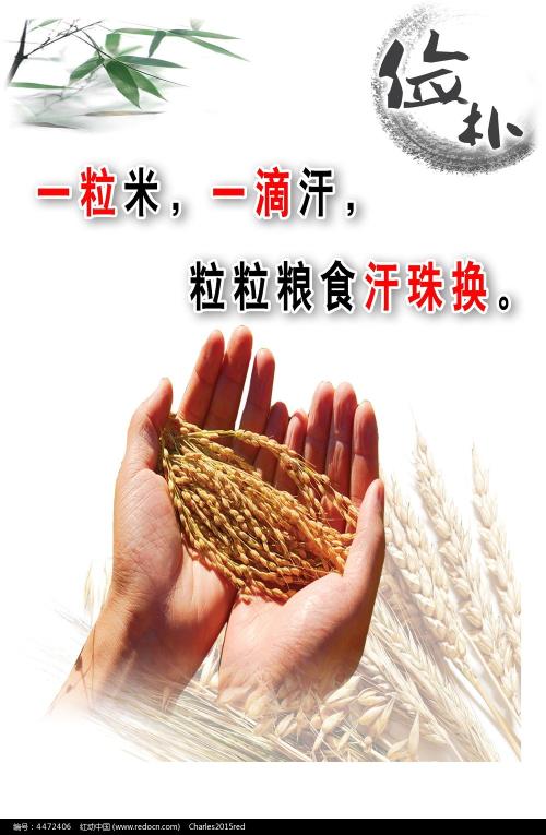 亚琛工业大学金融文凭证书